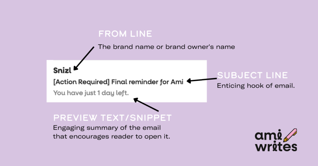 Ami Writes' explanation of the anatomy of an email. Includes the from line, subject line, and preview text. Example is from Snizl. Subject line says "Action Required - Final reminder for Ami."
Preview text says "You have just 1 day left." 